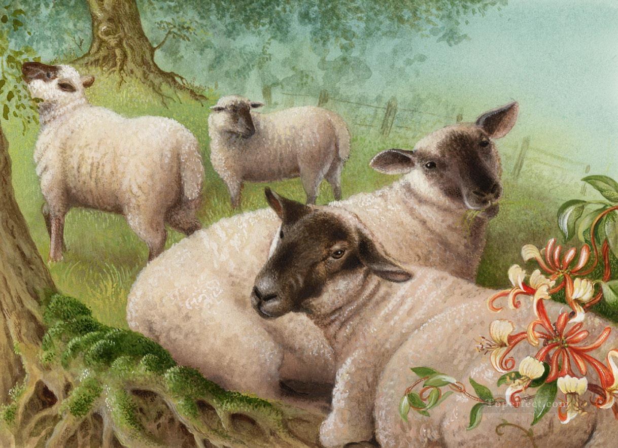SHEEP 15 Oil Paintings